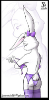 undiebunny