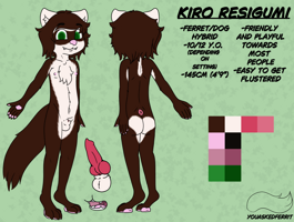 Kiro reference sheet