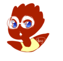 nitwit