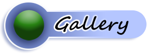 Galerry Galerry